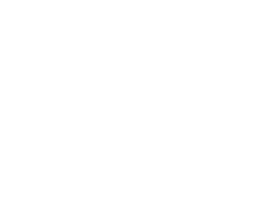 Vector 1